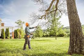 Reliable Schofield, WI Tree Removal Solutions